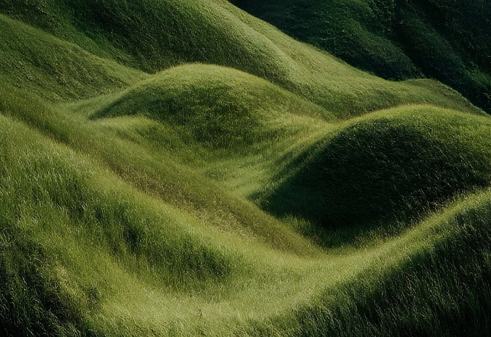 Rolling green hills